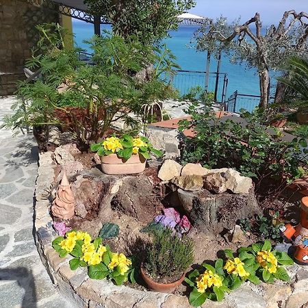 B&B Nido Sul Mare Alassio Buitenkant foto