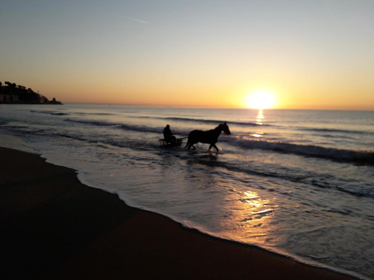 B&B Nido Sul Mare Alassio Buitenkant foto