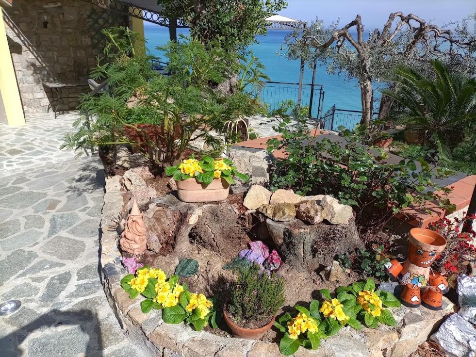 B&B Nido Sul Mare Alassio Buitenkant foto
